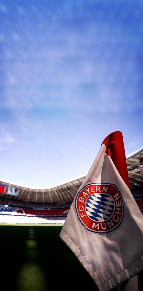 开云体育中国-皇家马德里主场惜败拜仁慕尼黑，小组第二的简单介绍