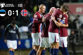 开云体育APP下载-爱沙尼亚铁杉客场获胜，锋线火热