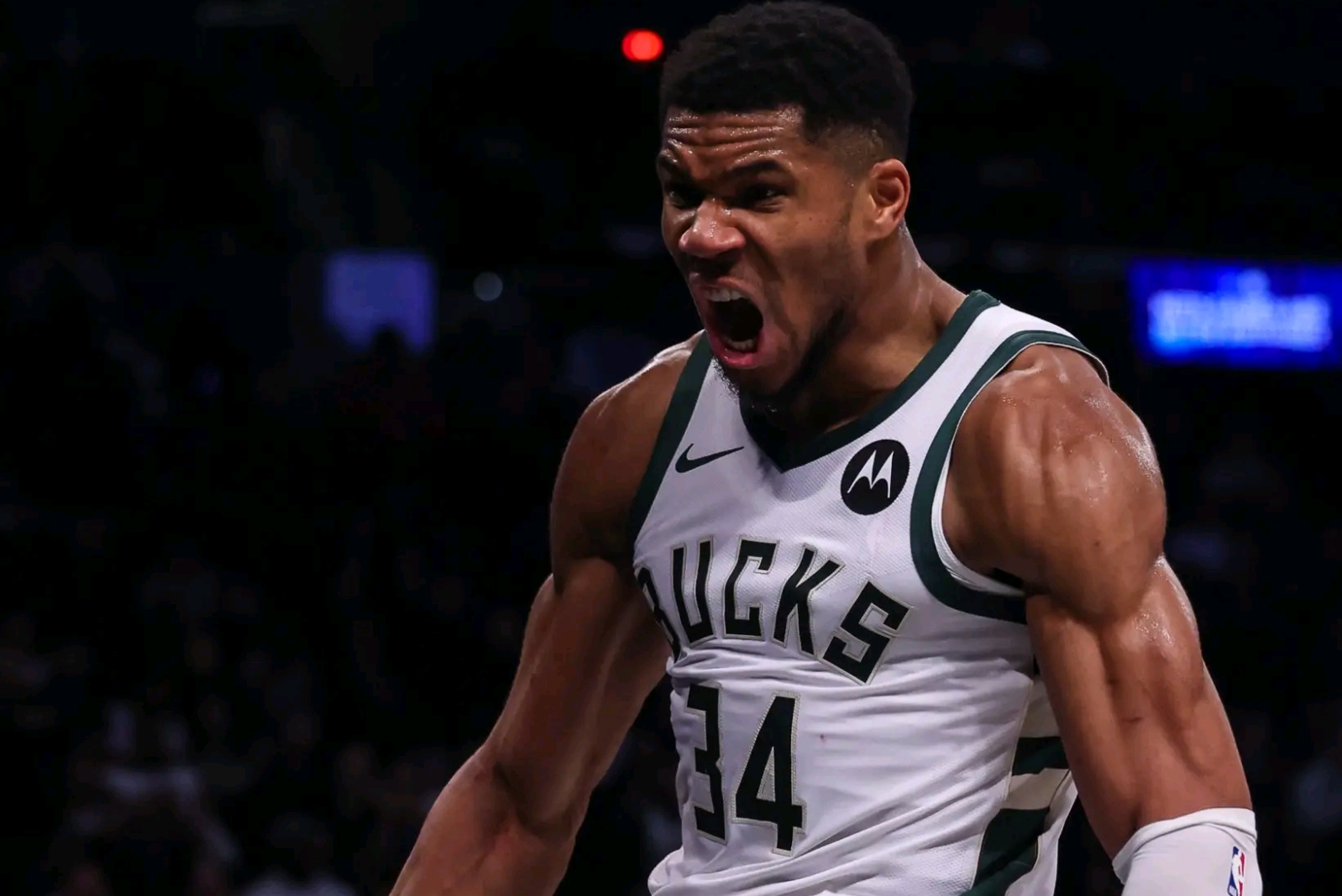 开云体育在线-雄鹿击败步行者，字母哥展示全方位能力