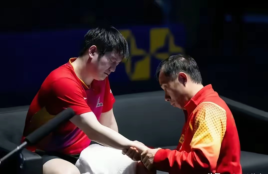 法国队绝杀韩国队，樊振东点燃赛场