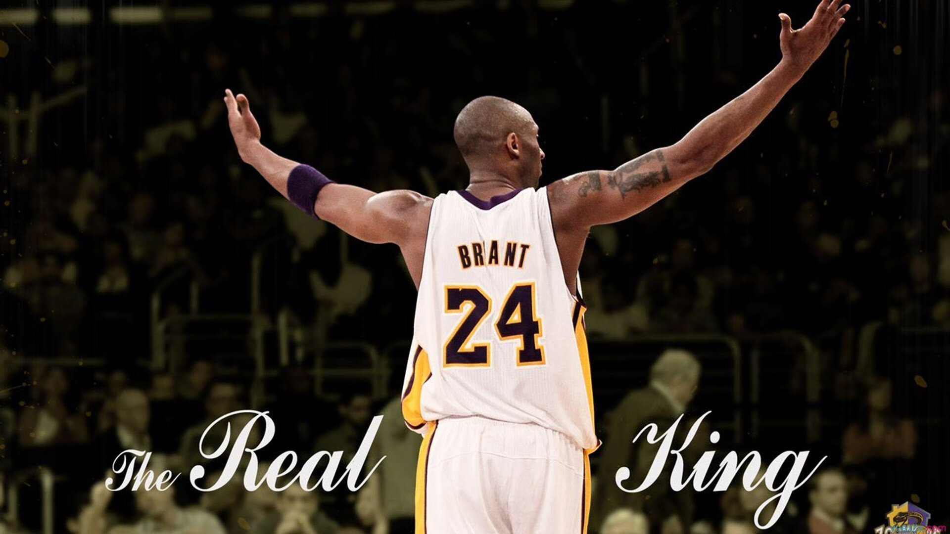 看到您的要求，我的思维可以这样展开，为您拟定几个独特的标题方向